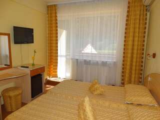 Отель Hotel Ciucas Бэиле-Тушнад Двухместный номер с 1 кроватью или 2 отдельными кроватями-2